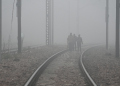 Cold Wave, Dense Fog Grip Several Parts of India